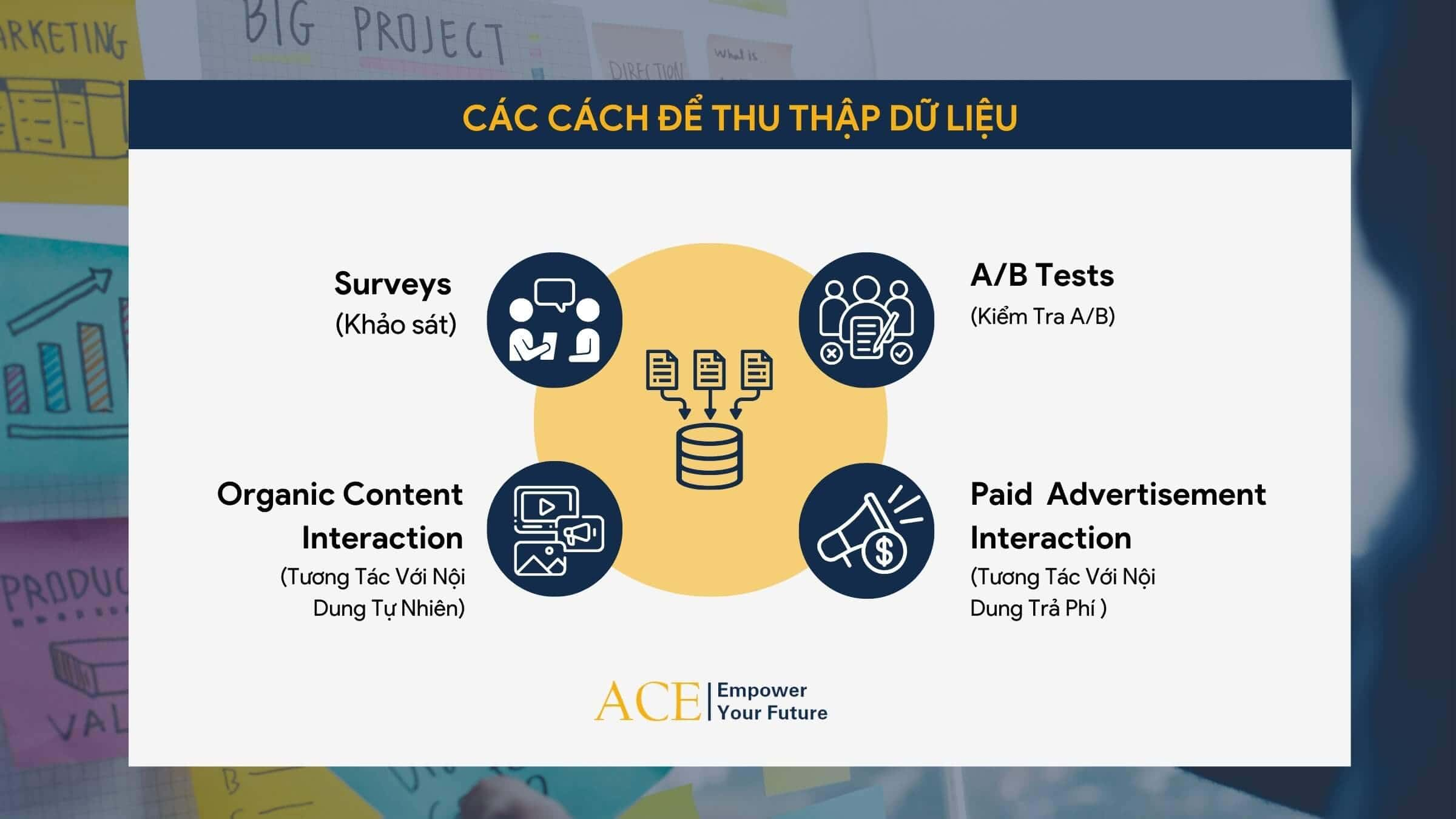 Các cách để thu thập dữ liệu bên thứ nhất -  ACE Academy