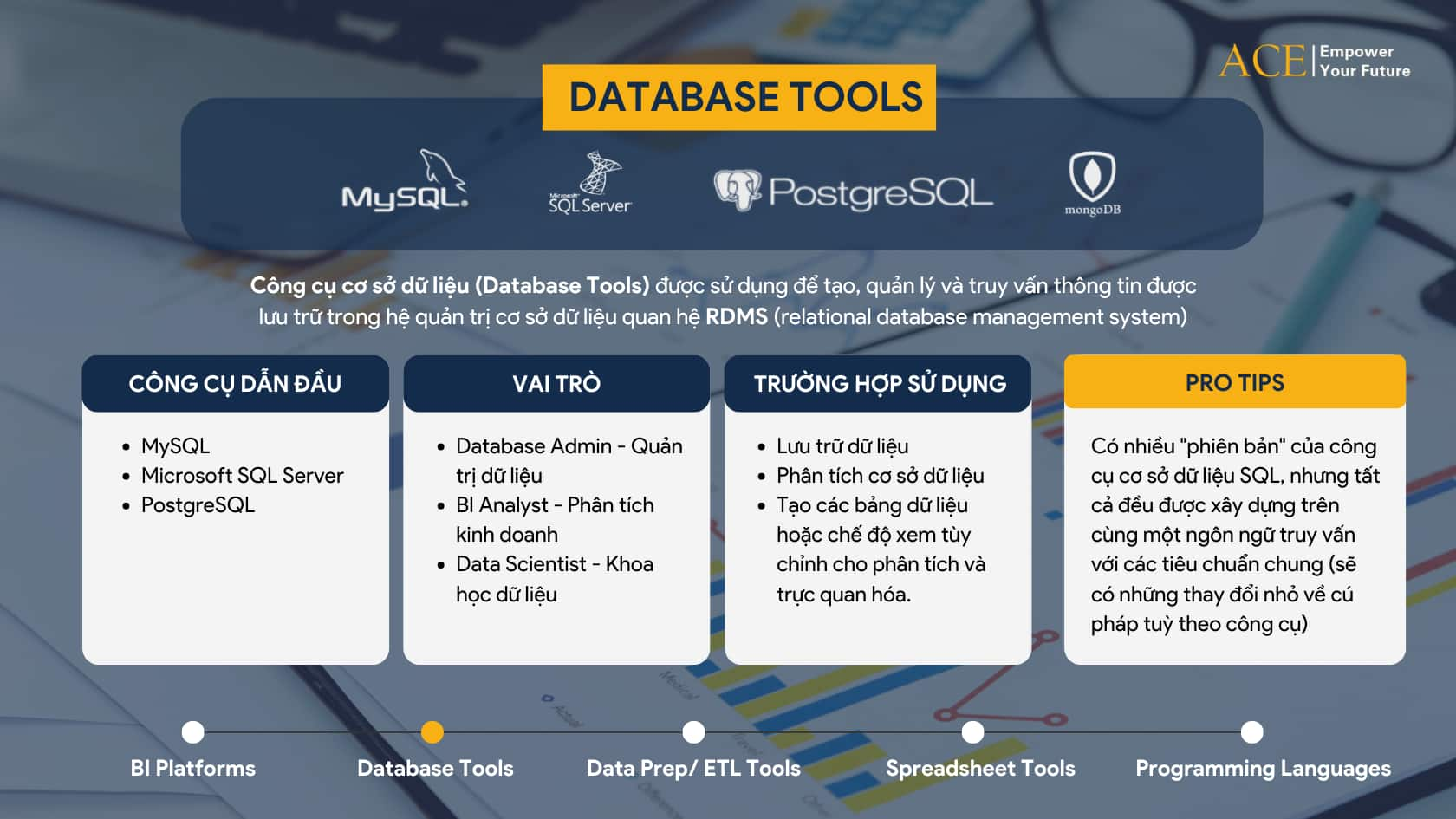 Database Tools (ACE Academy)