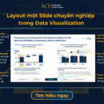 Data Visualization