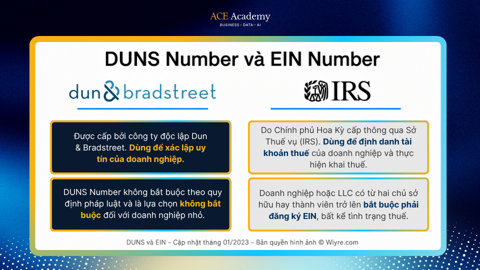 ACE Academy D-U-N-S Number