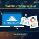 statistics là gì